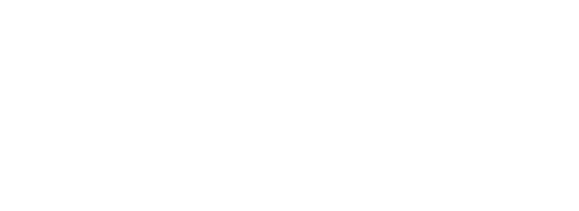The CFO Agency-white
